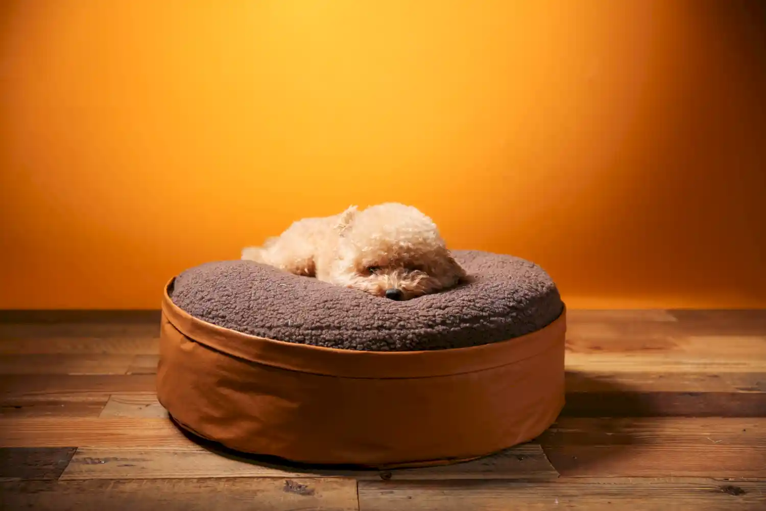 reversible dog bed odm