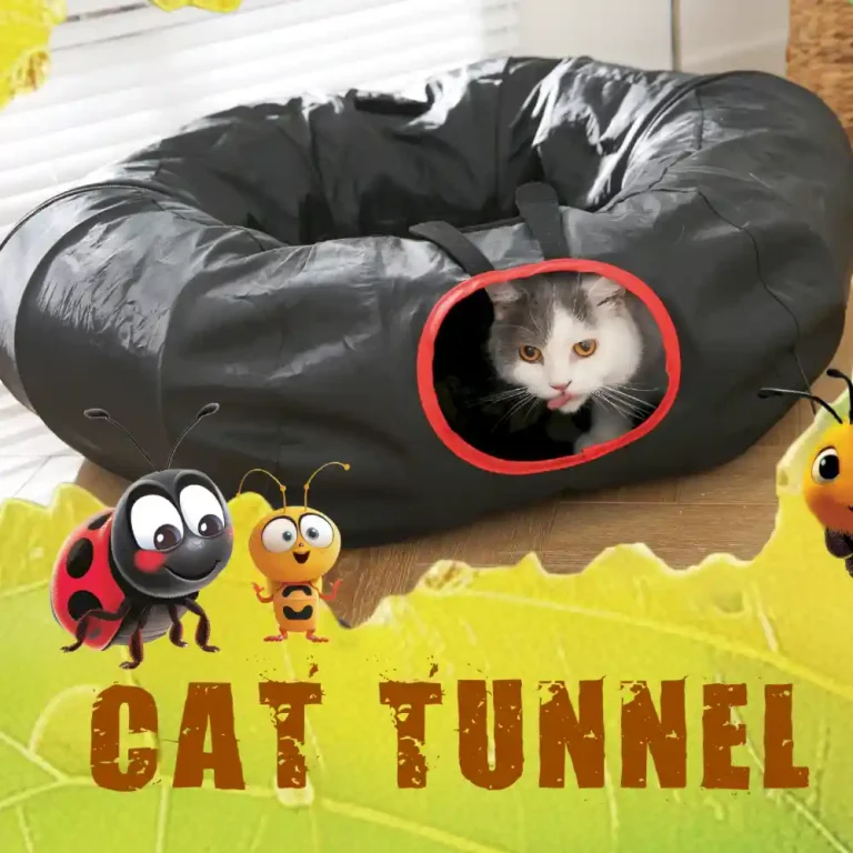 Long Cat Tunnel