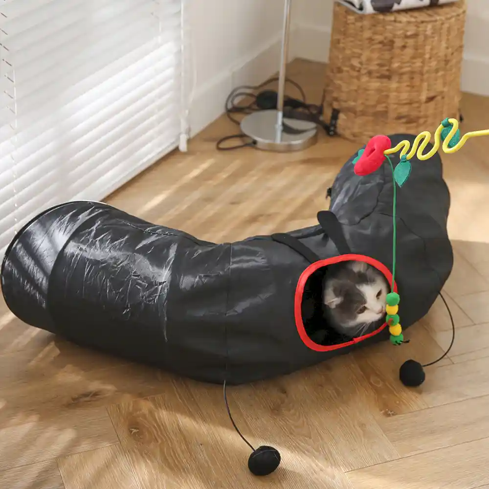 Long Cat Tunnel factory