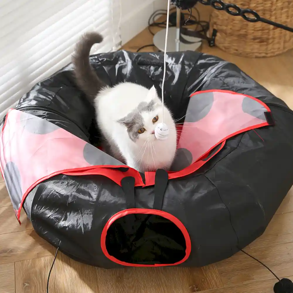 Long Cat Tunnel in Bulk
