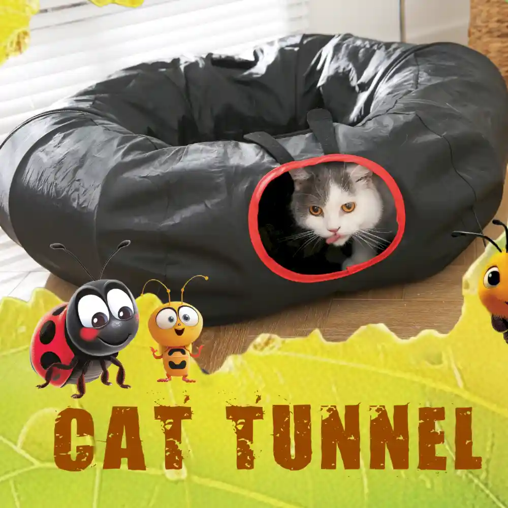 Long Cat Tunnel