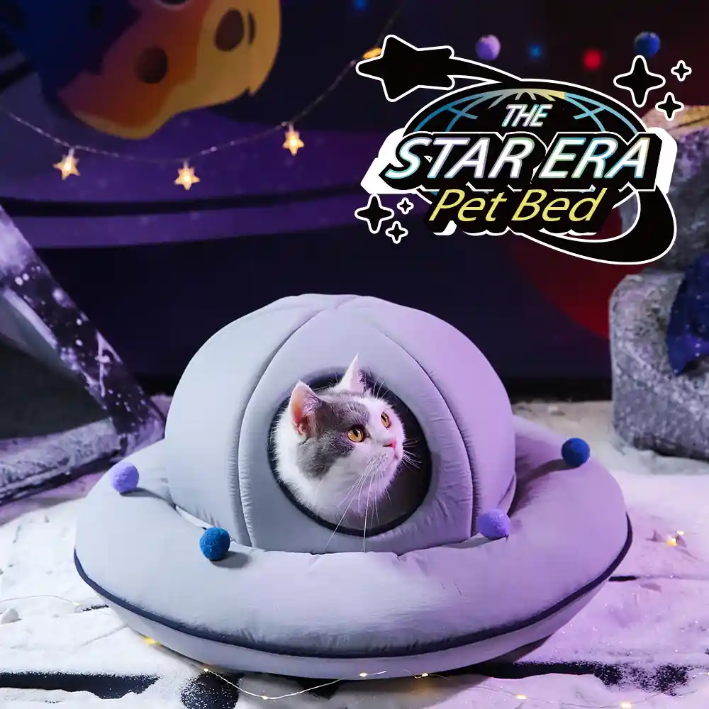 UFO cat bed