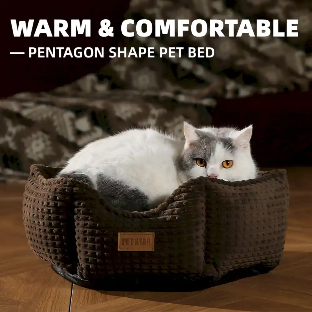 Washable Bolster Dog Bed