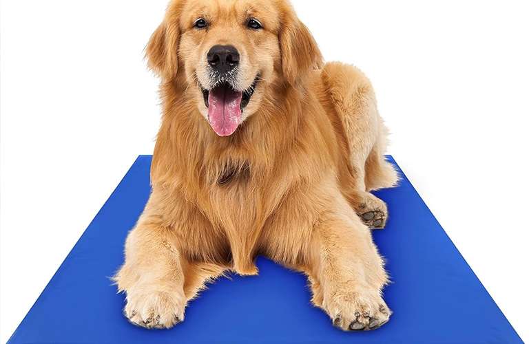 Hundekühlmatte