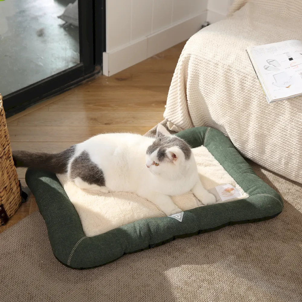 dog bed cushions supplier
