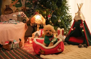 Christmas Pet Beds