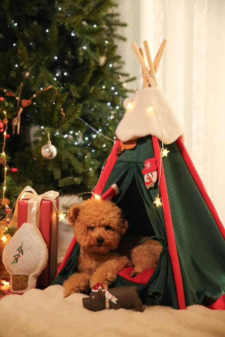 Cama para mascotas Christmas Tent