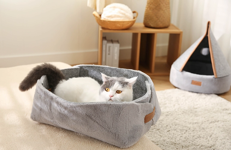 Tipos de camas para gatos