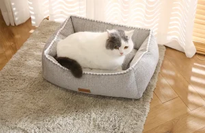 How make cat bed