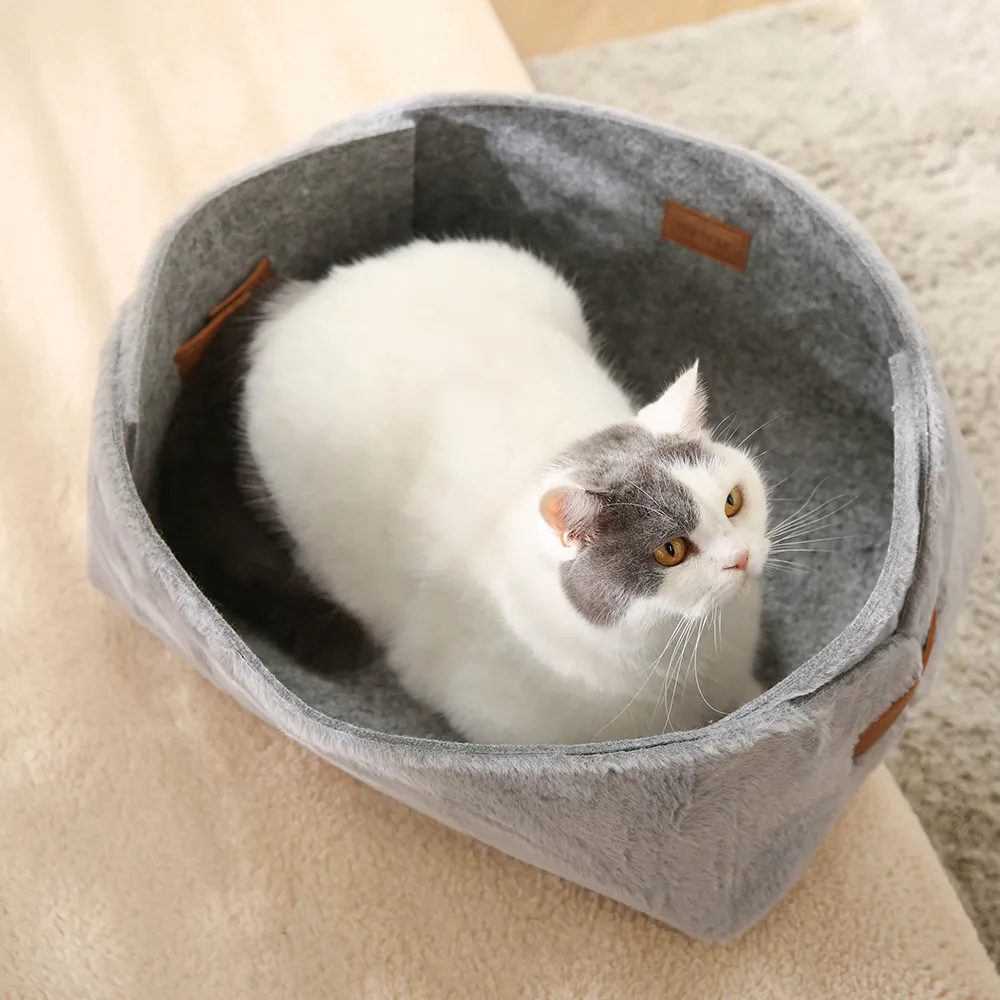 cat cave felt supplier