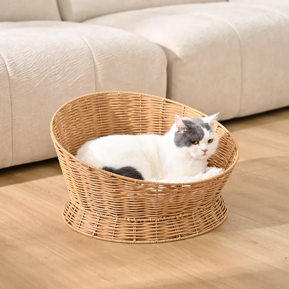 raised cat bed supplier