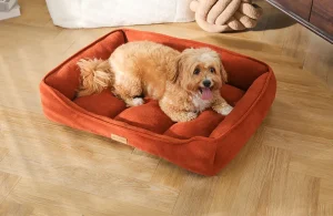 Best Dog Bed