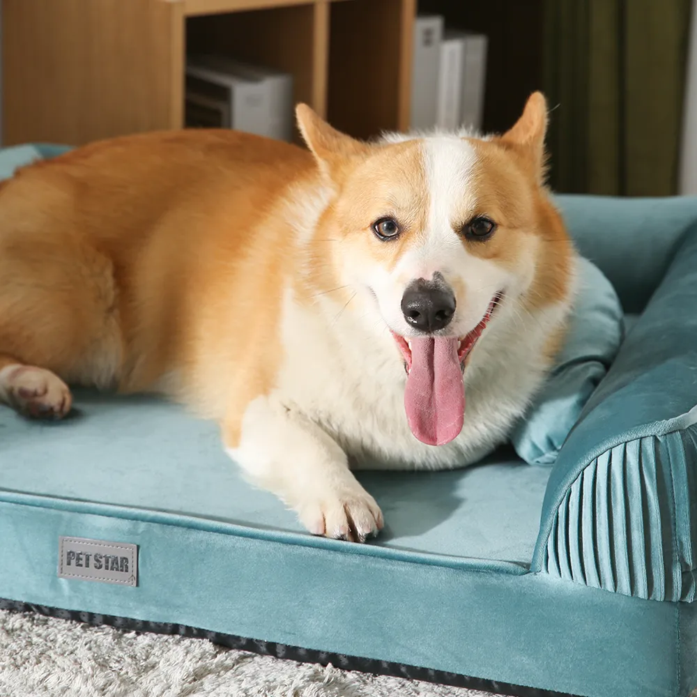 pet sofa bed manufacturer