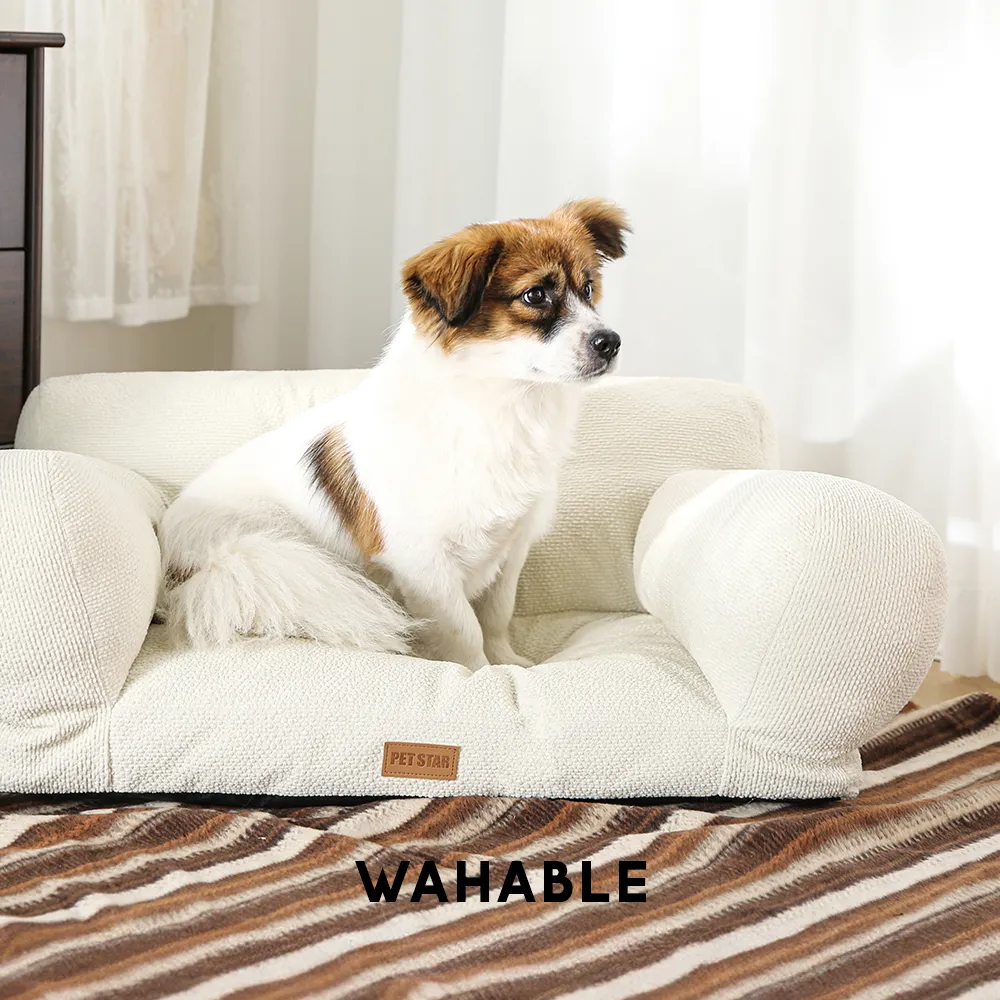 pet sofa bulk