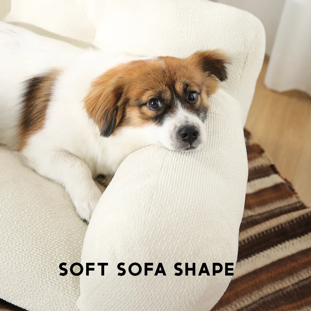 pet sofa factory