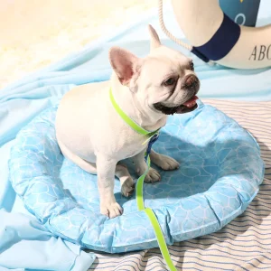 Best Cooling Bed for Dogs Customizable