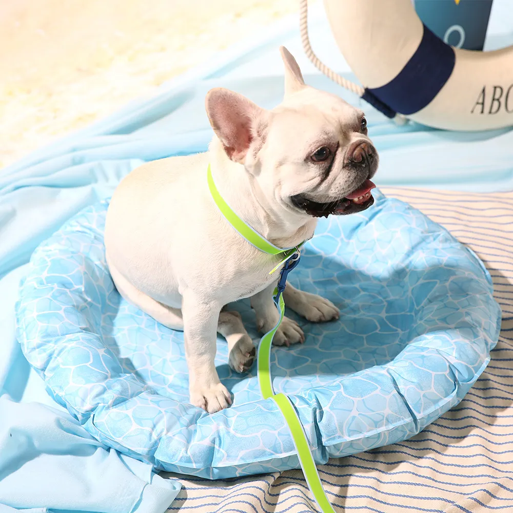 Best Cooling Bed for Dogs Customizable