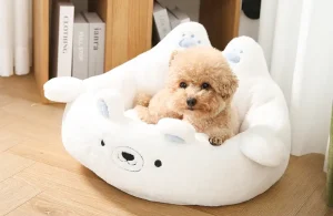 Best Dog Bed for Puppies
