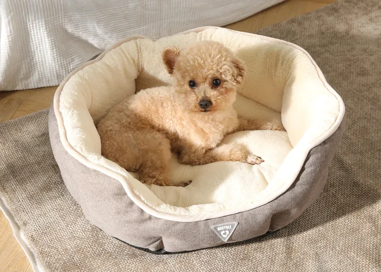 Bolster Beds