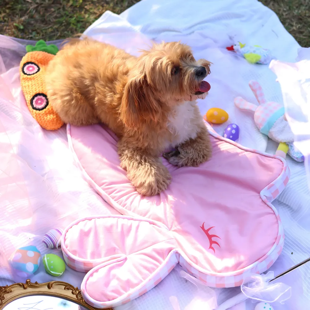 Cosy Dog Bed Custom