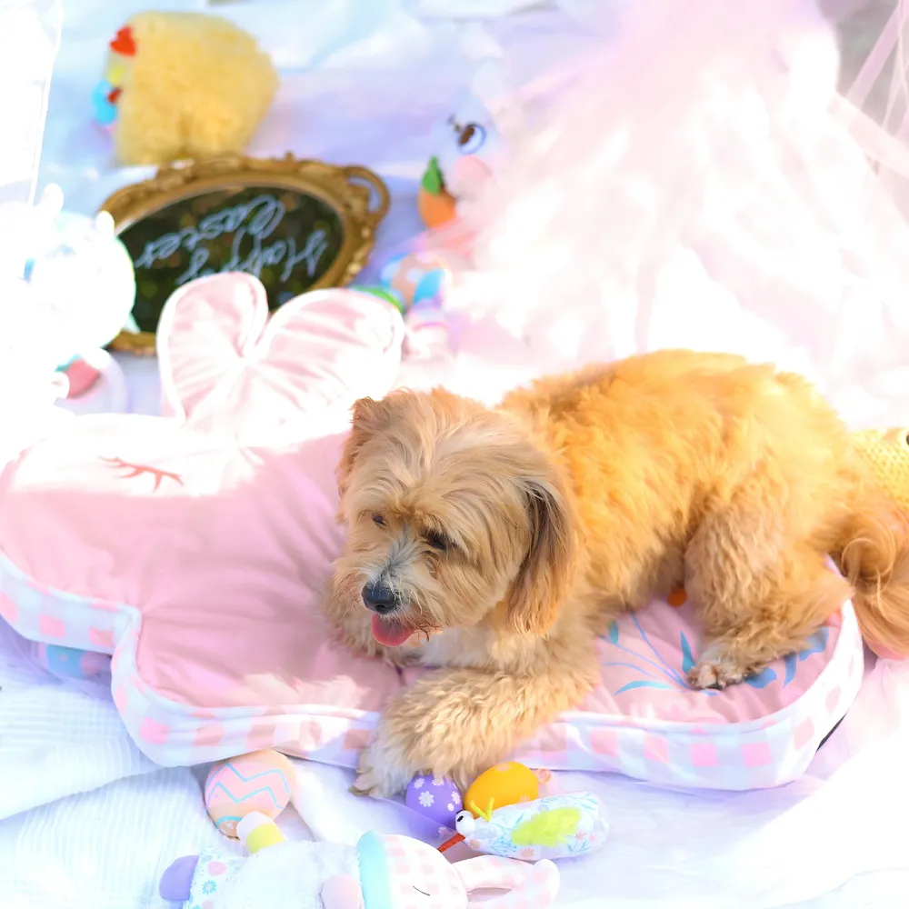Cosy Dog Bed Customization