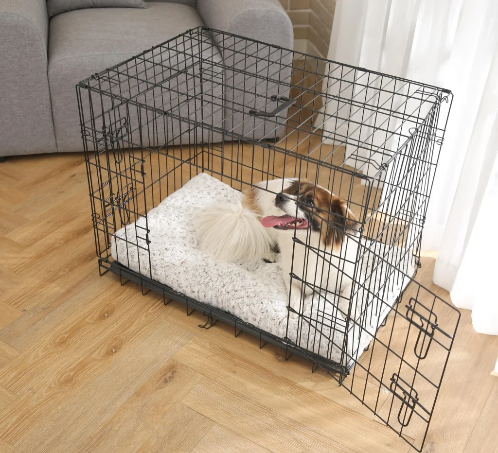 Flat Dog Beds