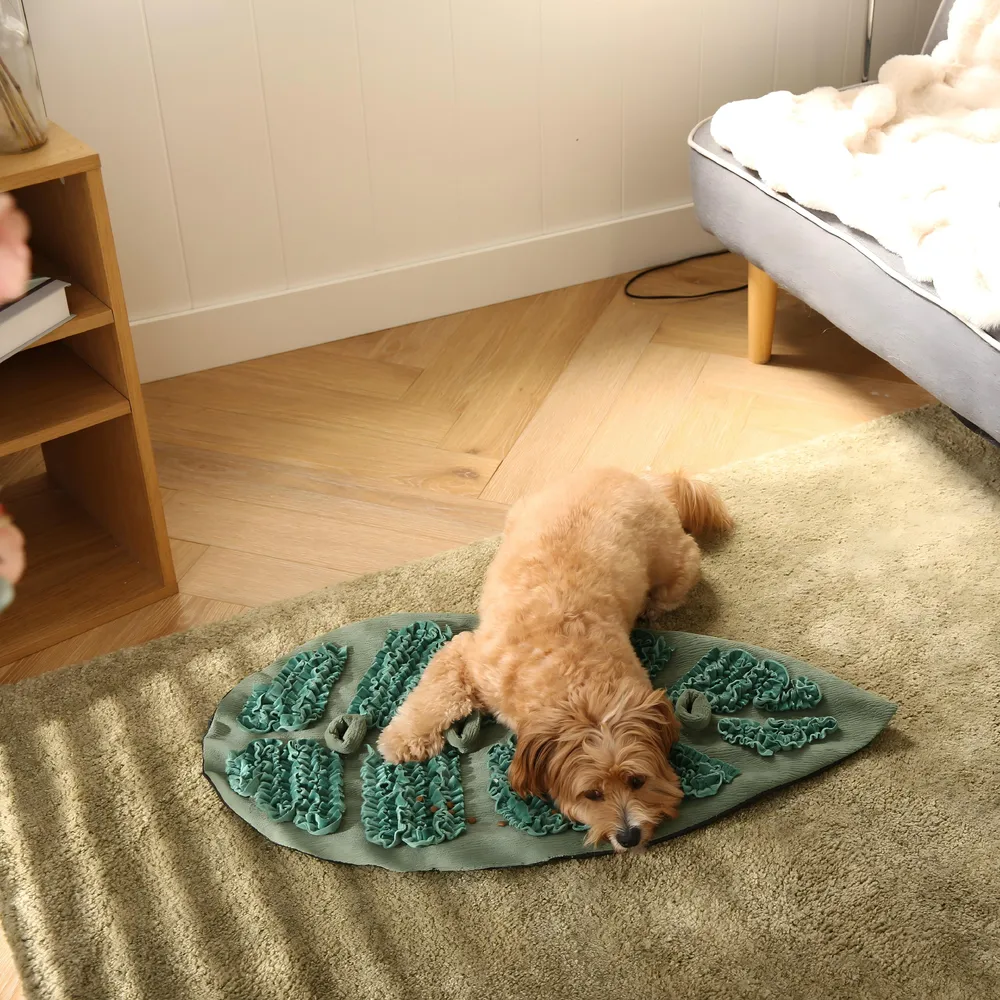 Green Dog Bed Custom