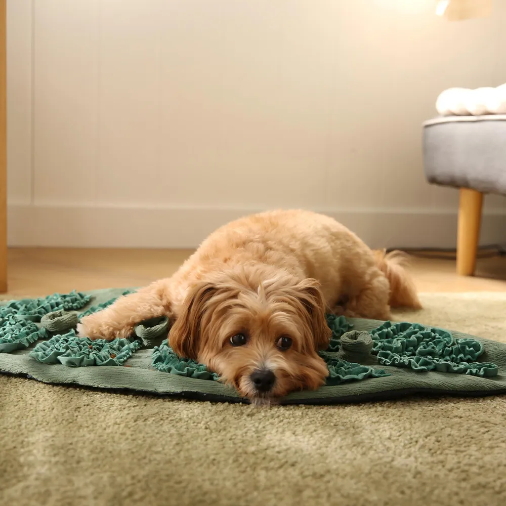 Green Dog Bed Customization