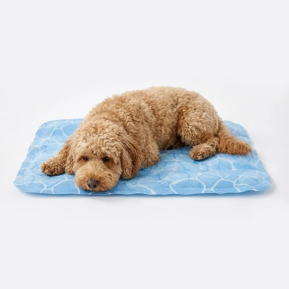 Large Cooling Bed for Dogs Custom