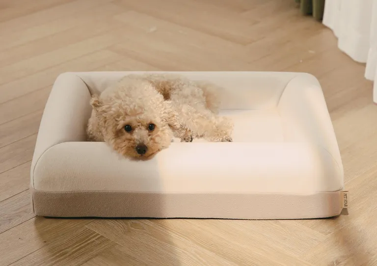 Orthopedic Beds