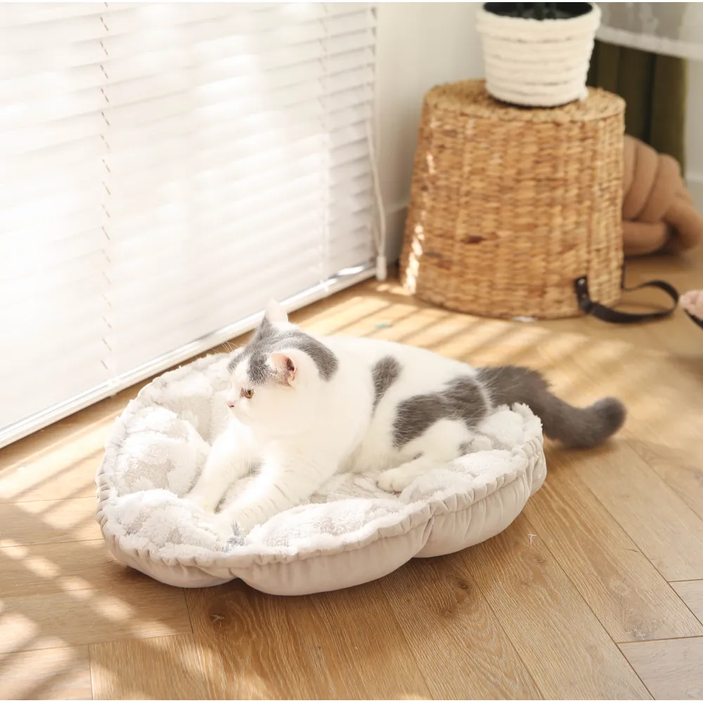 Paws Pet Bed Customized