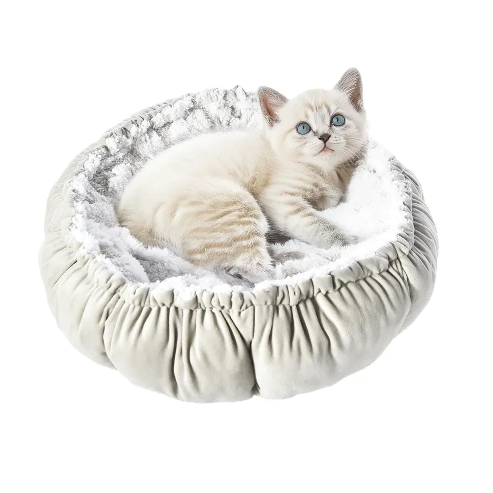 Paws Pet Bed Supplier