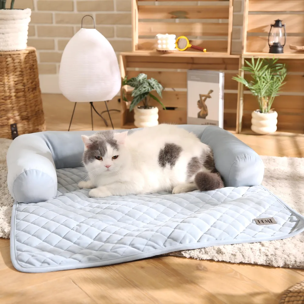 Plush Dog Blanket Customization