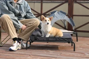Elevated Pet Bed Background