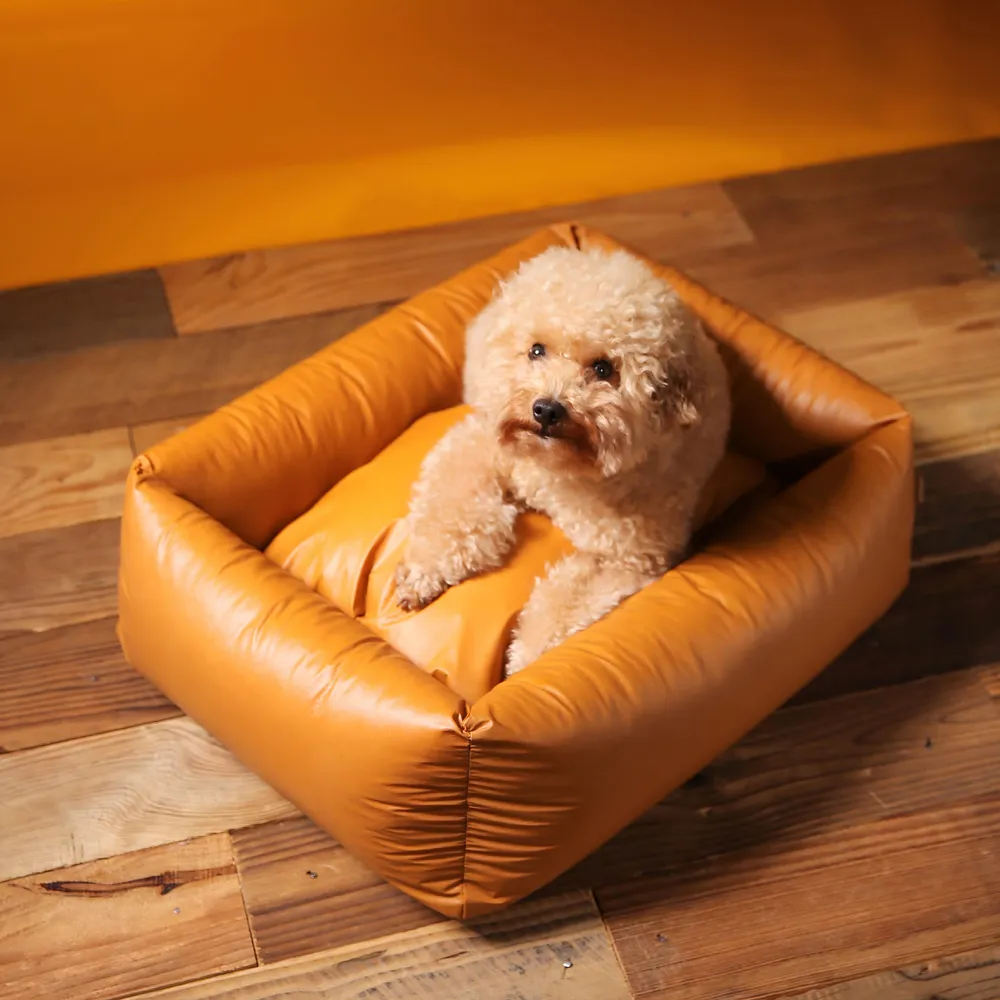 Best Eco-Friendly Dog Beds Customization