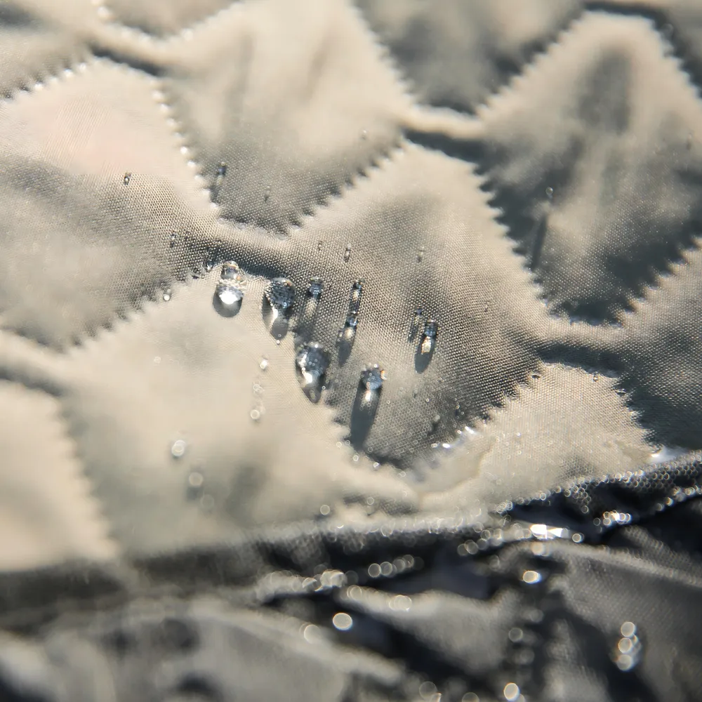 Dog Outdoor Blanket Customization