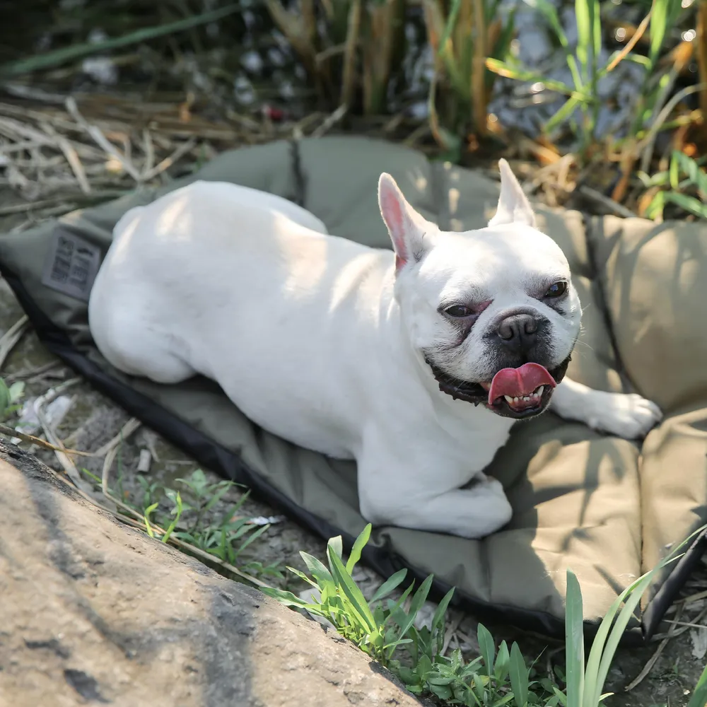 Dog Outdoor Mats Customization