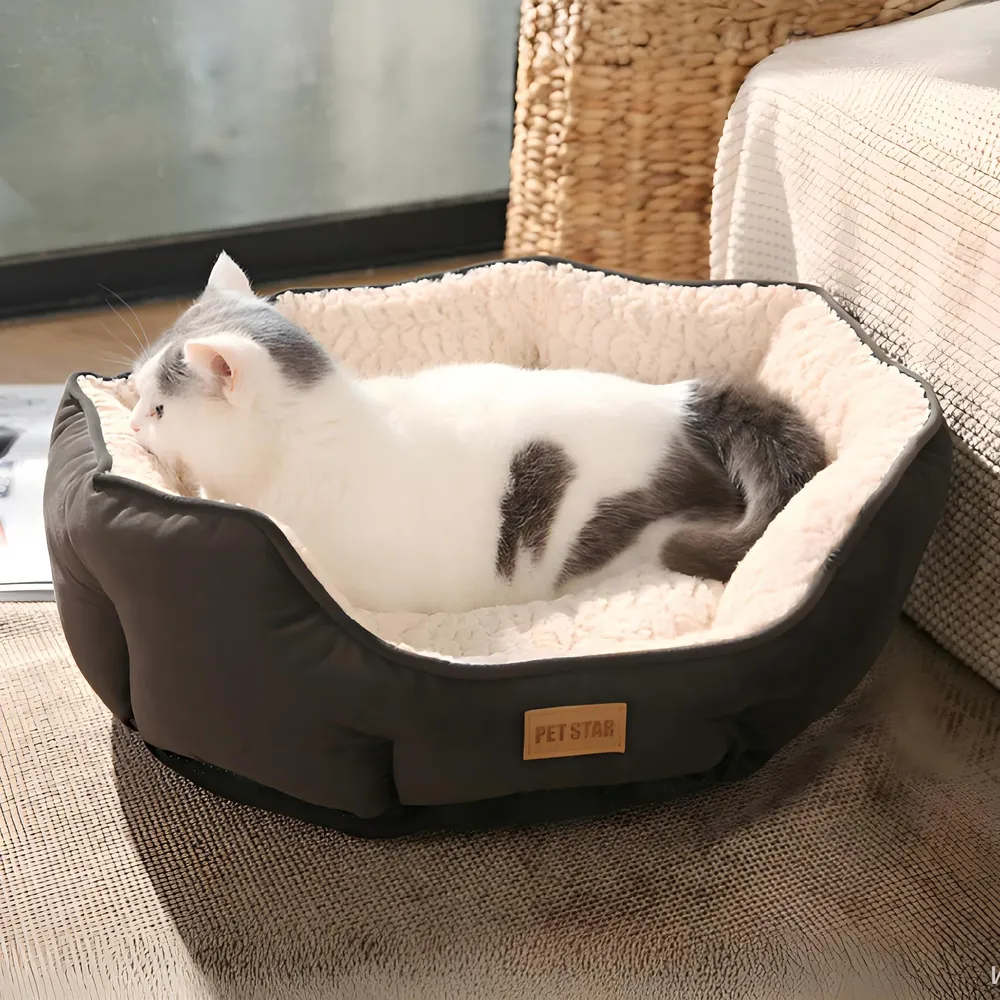 Dog Oval Bed Custom