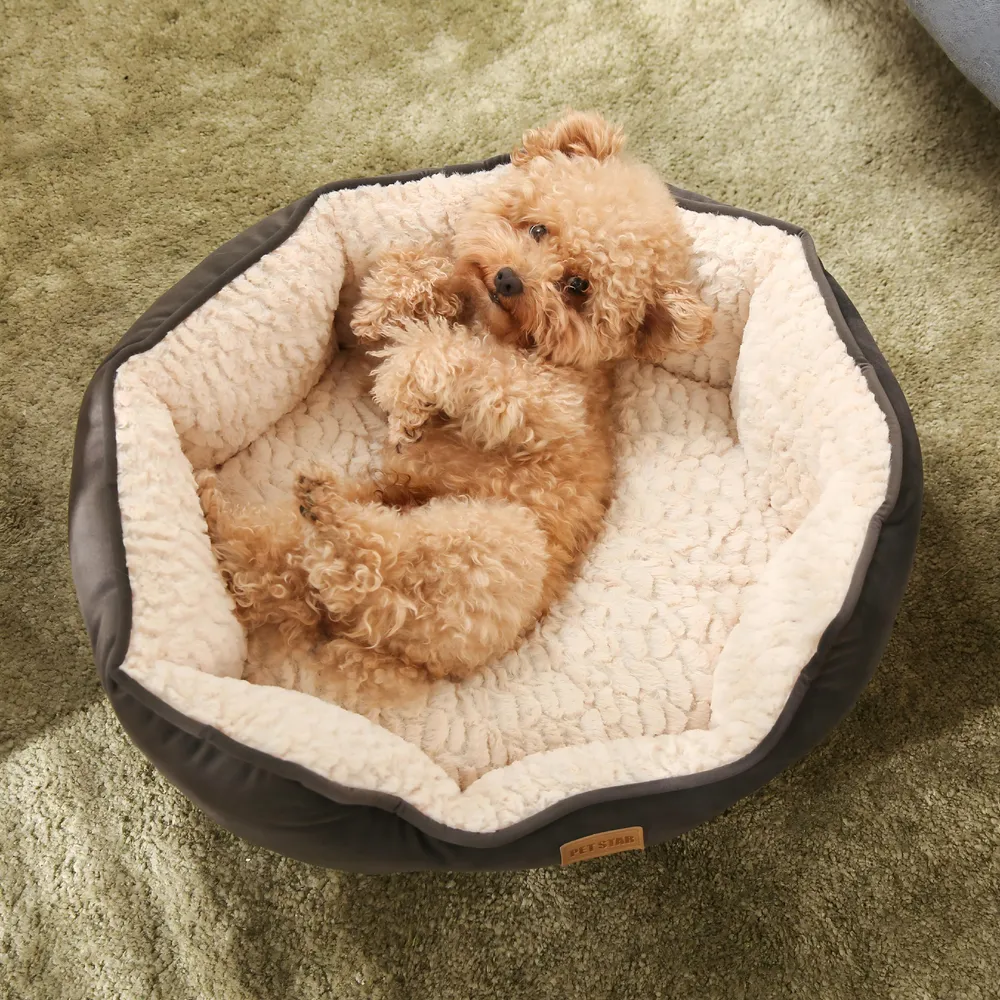Dog Oval Bed Customization