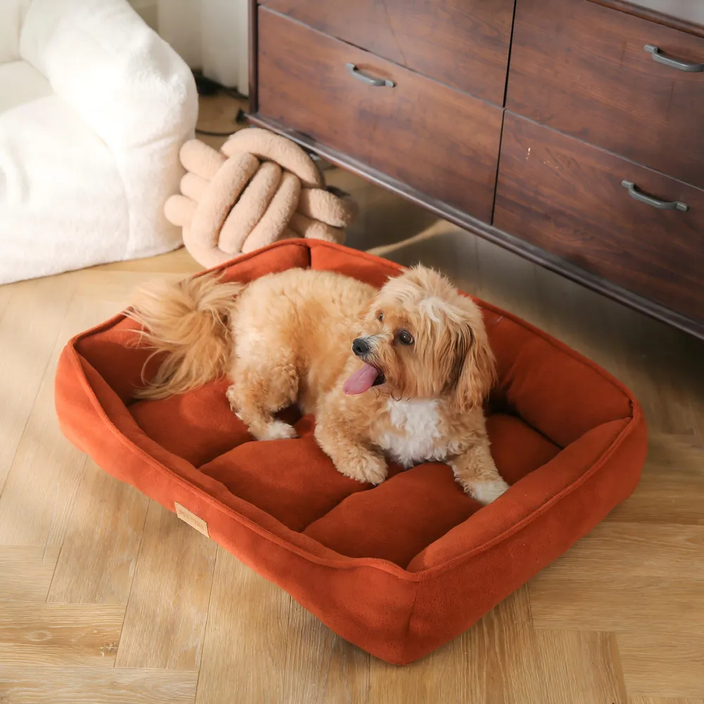 Large Modern Dog Bed Customization