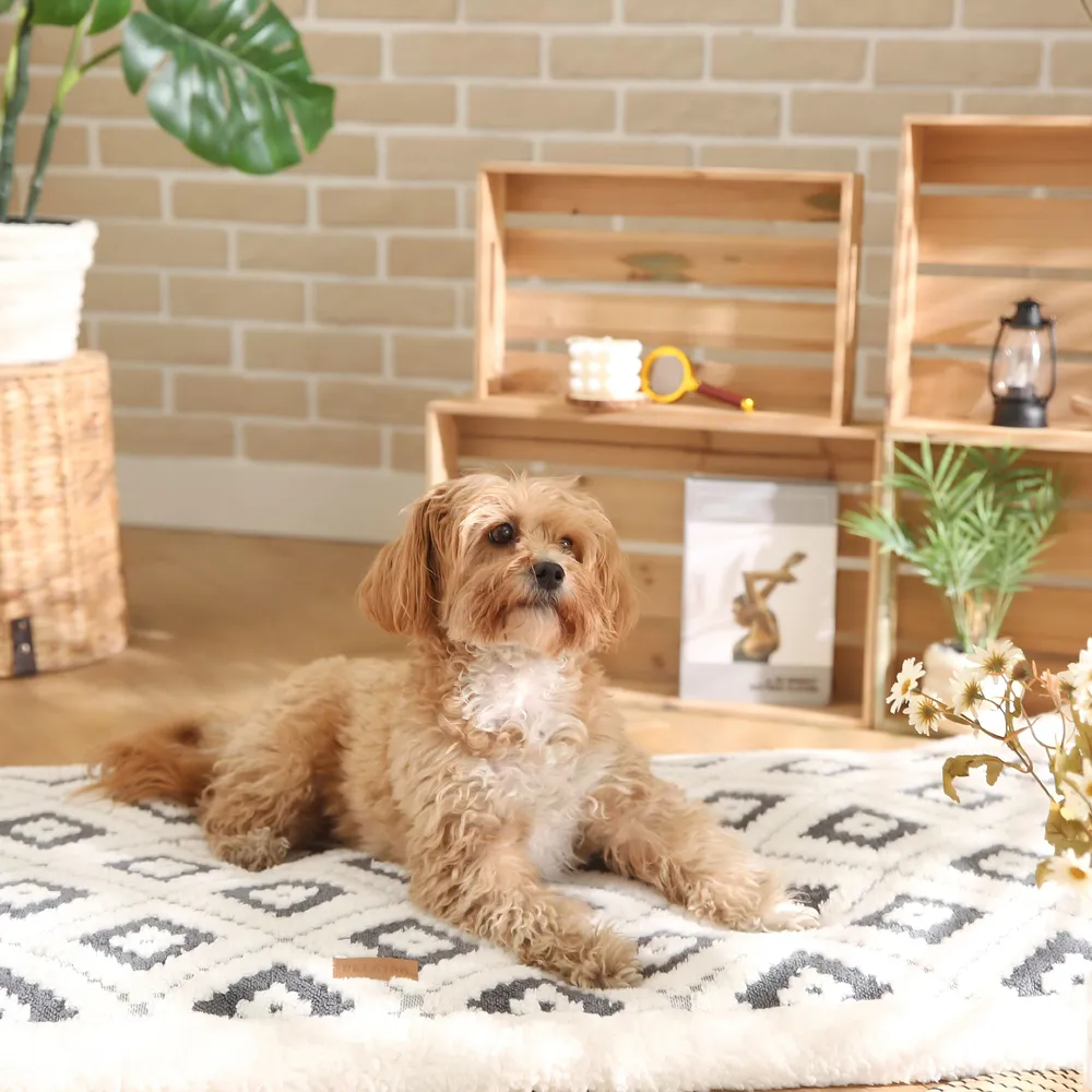 Pet Sofa Mat Customization