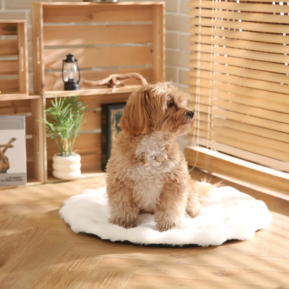 Round Dog Bed Custom