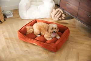 Senior Dog Beds