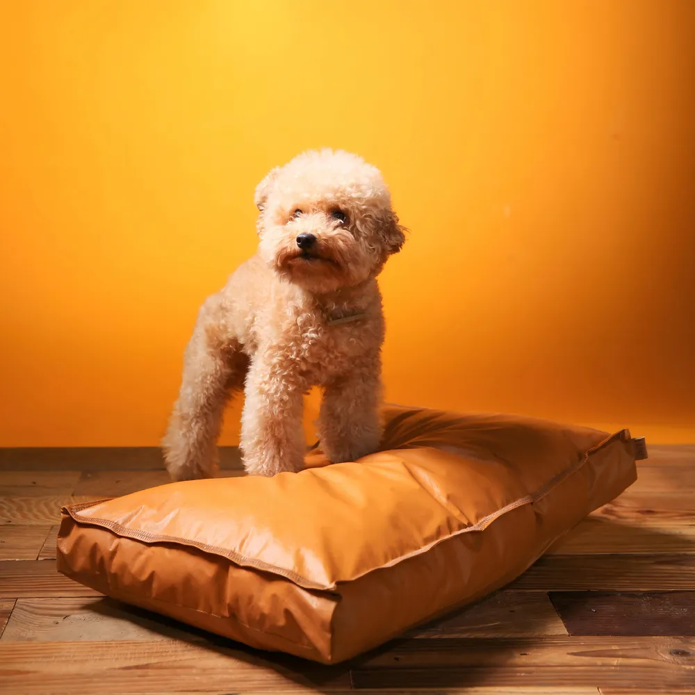 Sustainable Dog Bed Custom