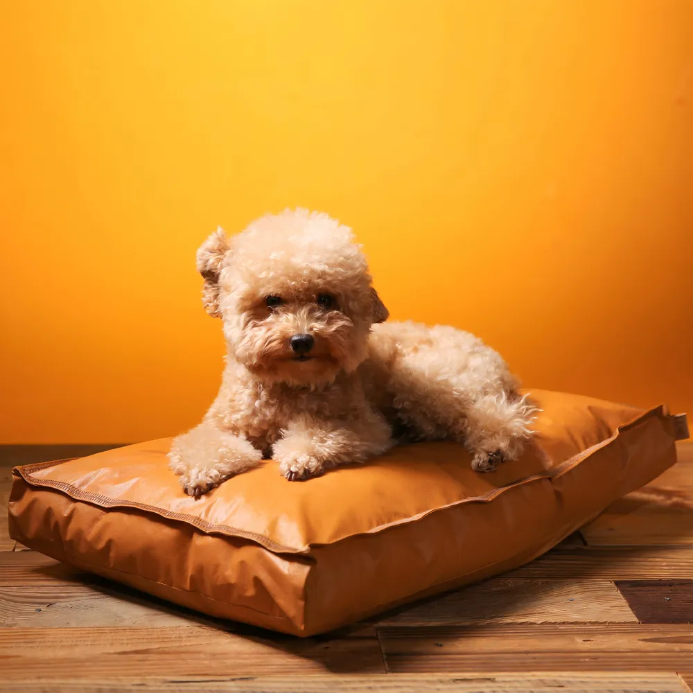 Sustainable Dog Bed Customization