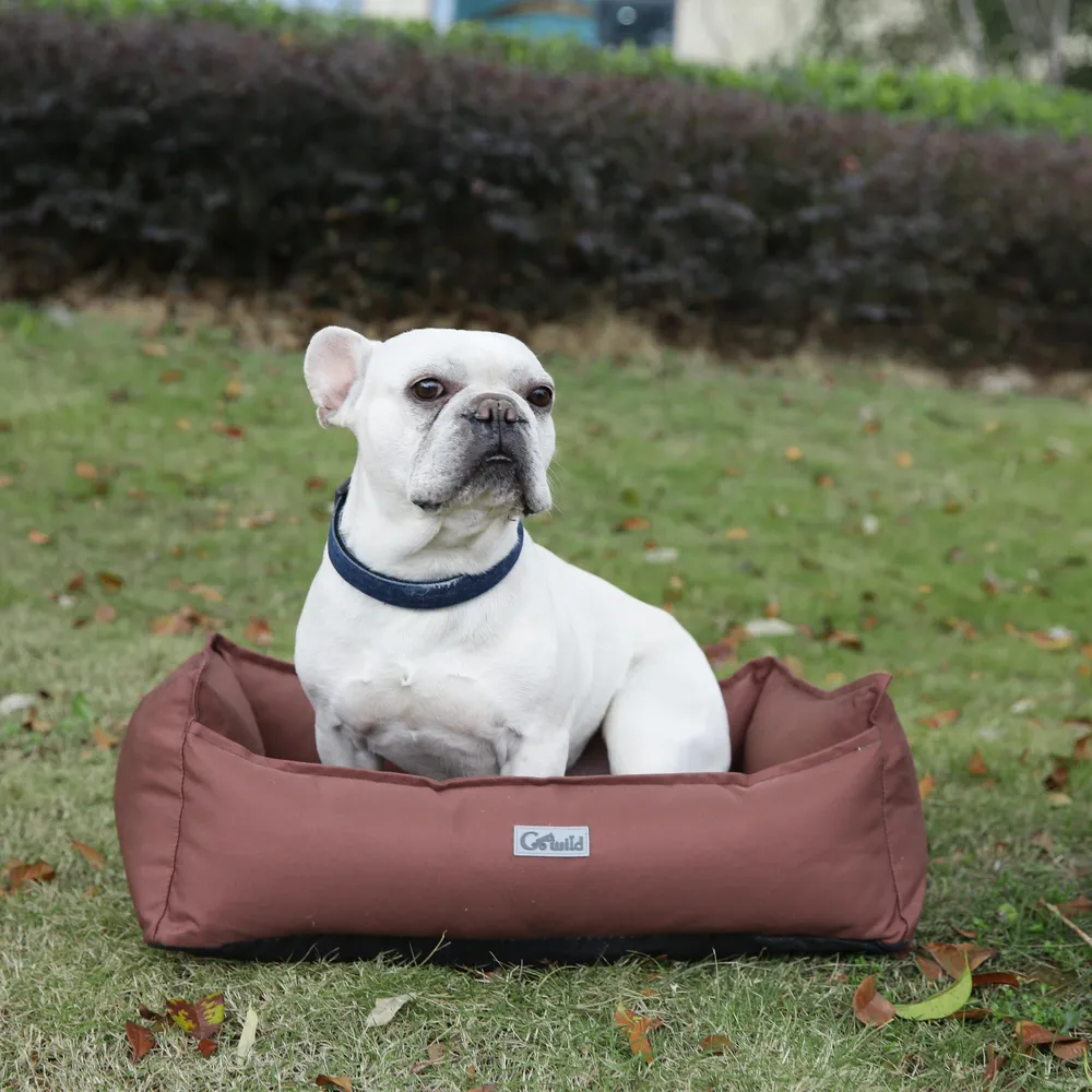 Best Durable Dog Bed Customization
