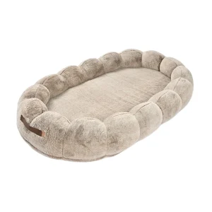 Best Human Dog Bed