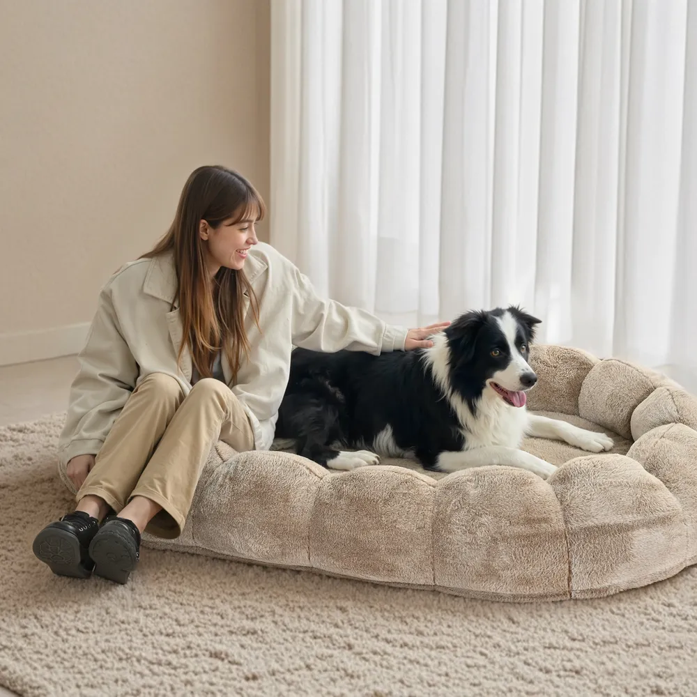 Best Human Dog Bed Customization