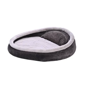 Best Human Dog Beds