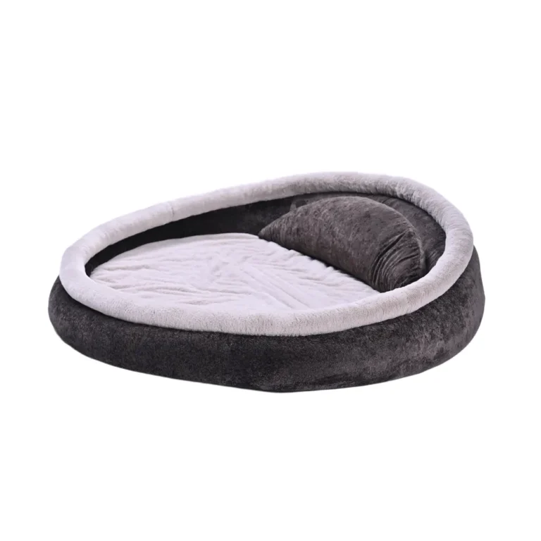 Best Human Dog Beds